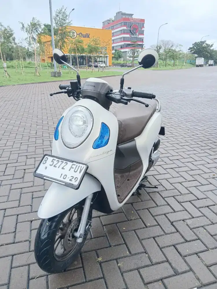 Scoopy pristage greshhh