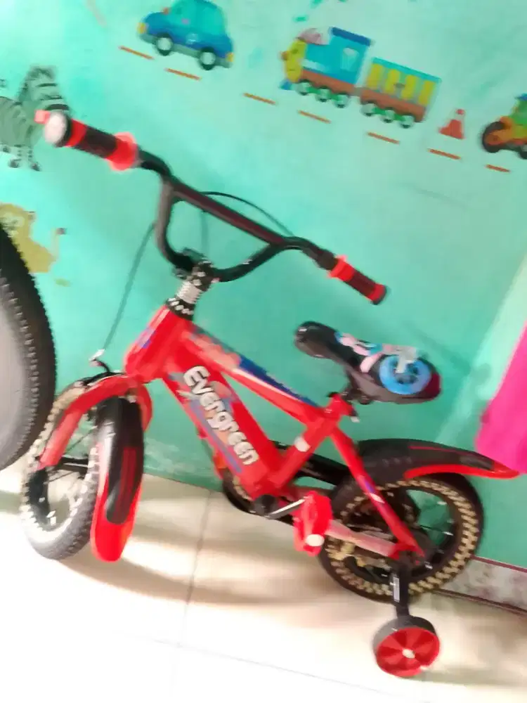 Sepeda anak Evergreen
