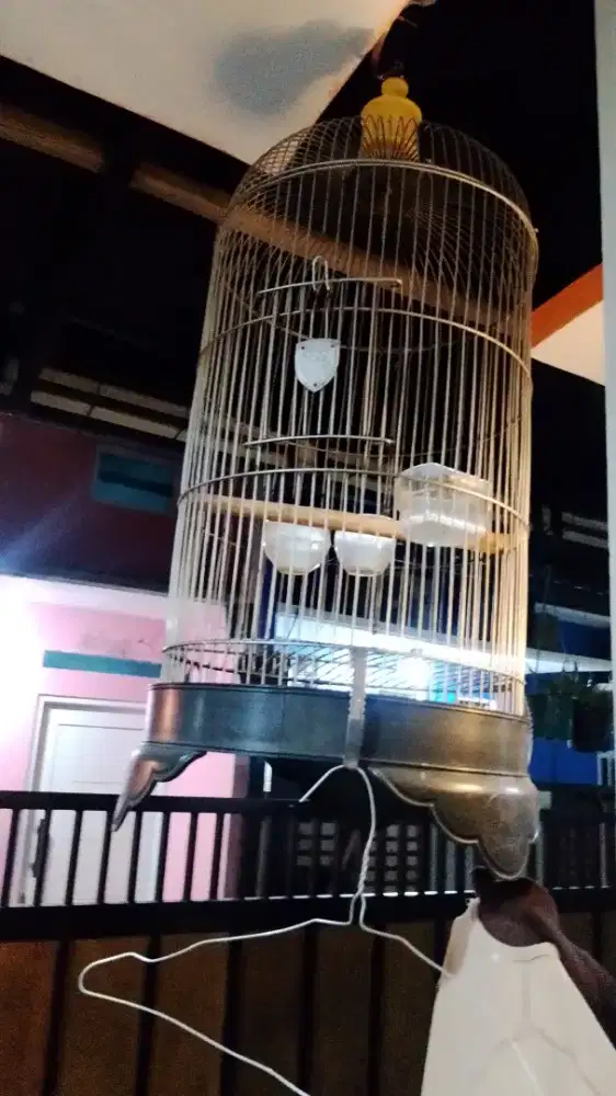 Kandang love bird