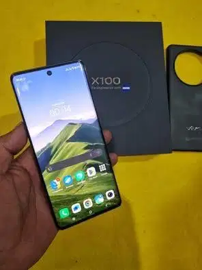 Vivo X100 12/256GB
