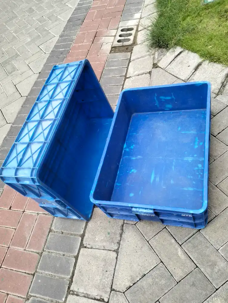 Box Container Rabbit