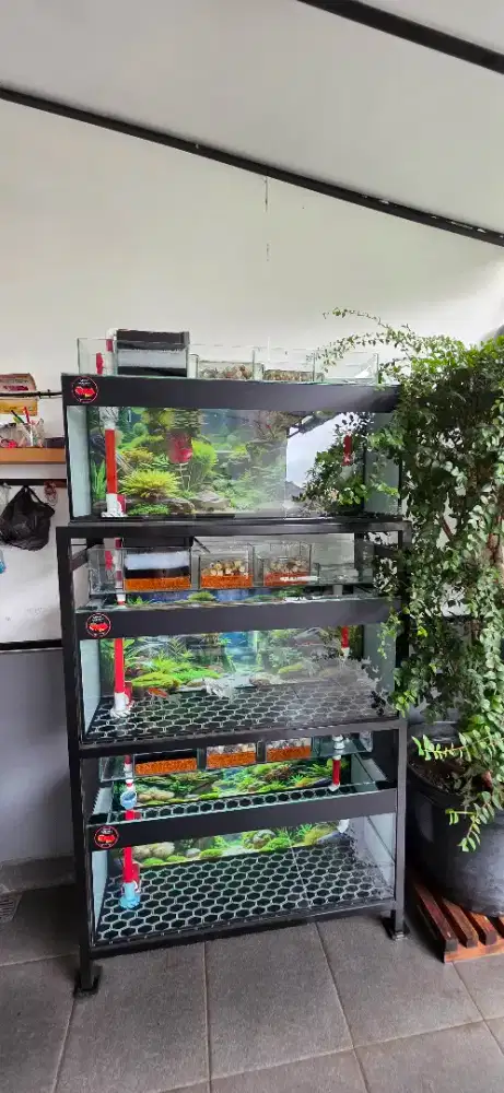 Aquarium bekas 3 susun 100x40x40 3bulan pakai