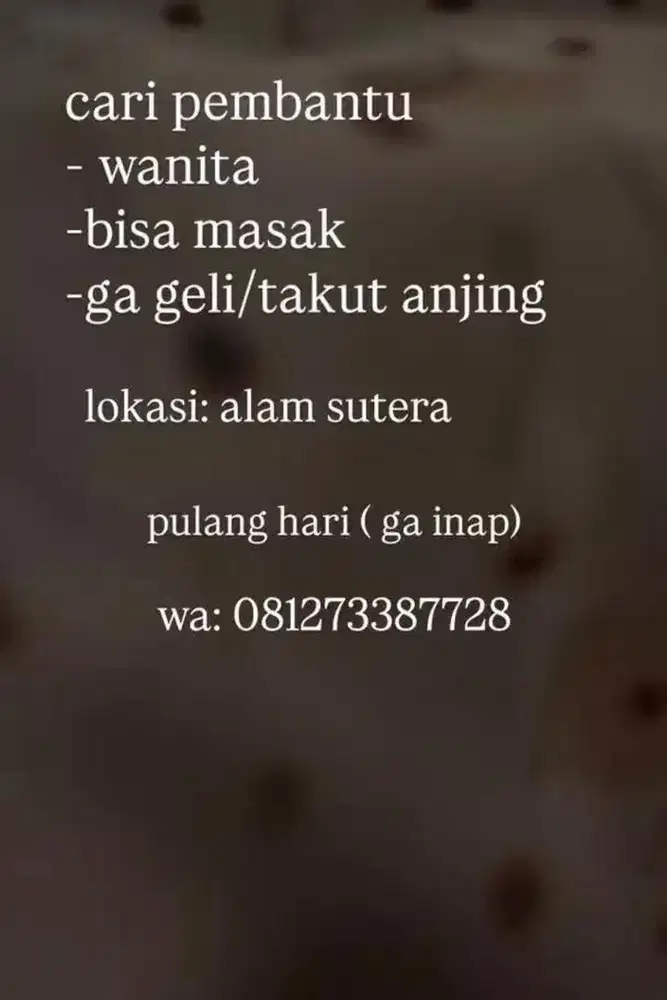 di cari asisten rumah tangga ( pembantu)