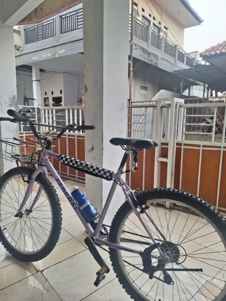 Sepeda Federal Streetcat