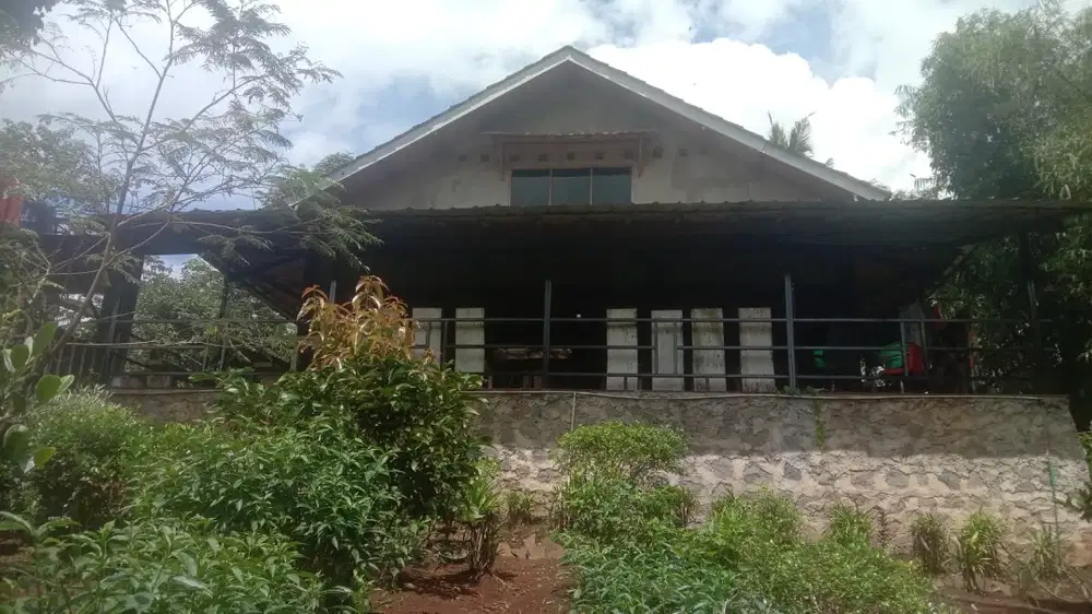 Di jual vila dengan macam2 pohon buah2 an