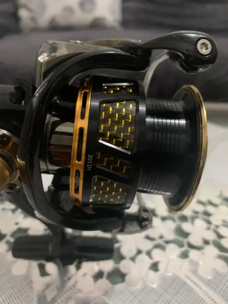 Daiwa morethan 3012