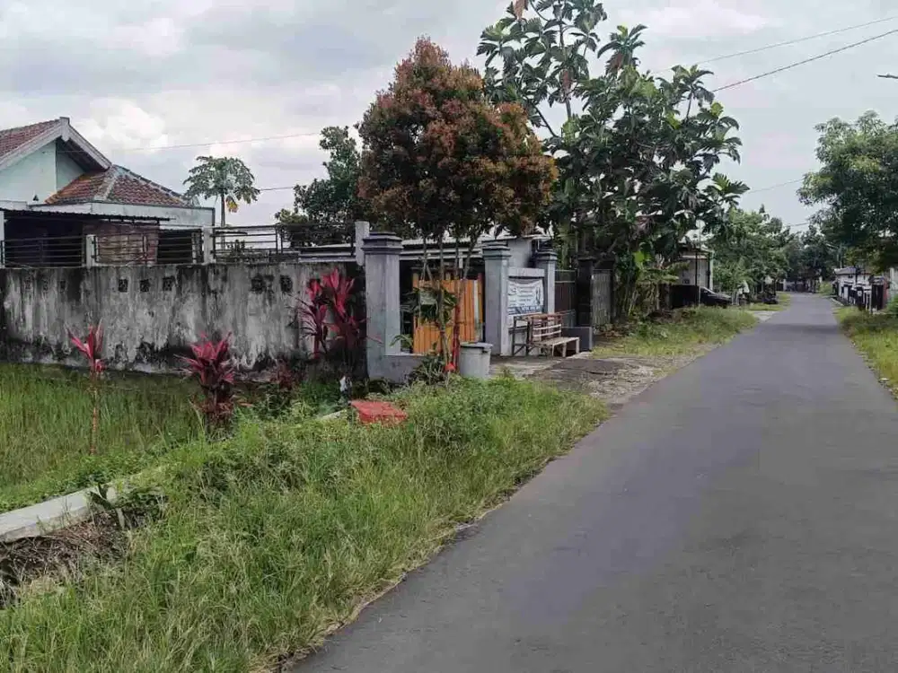Dijual tanah sawah cantiq depan aspal mlati Sleman 1jt750
