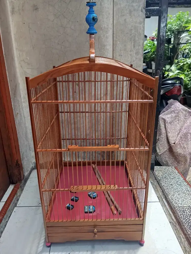 Kandang kotak jati no 2