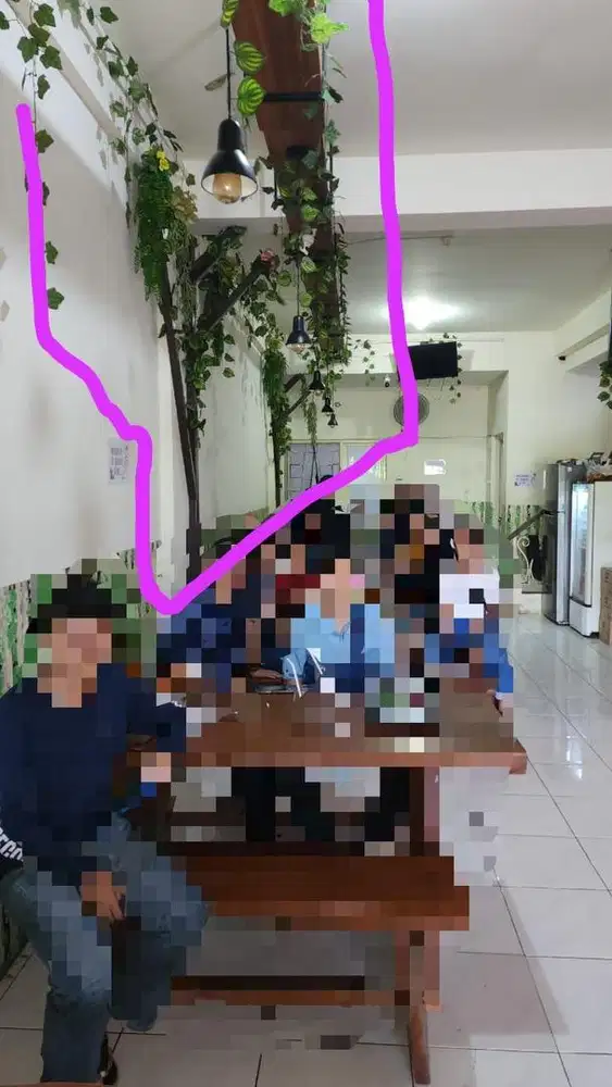 DEKORASI HOLO SIAP PAKAI & TANAMAN RAMBAT