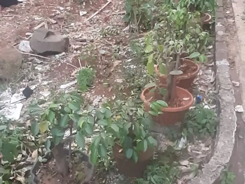 Tanah Dijual di Gandul Cinere Depok