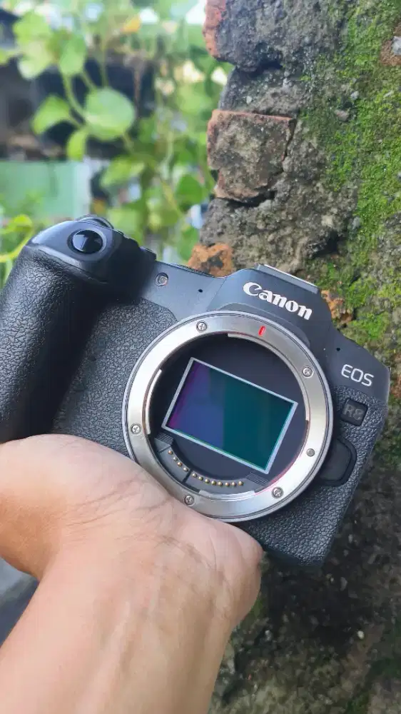 Canon EOS r8 murah