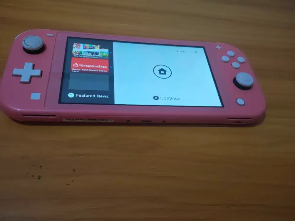 Nintendo switch lite