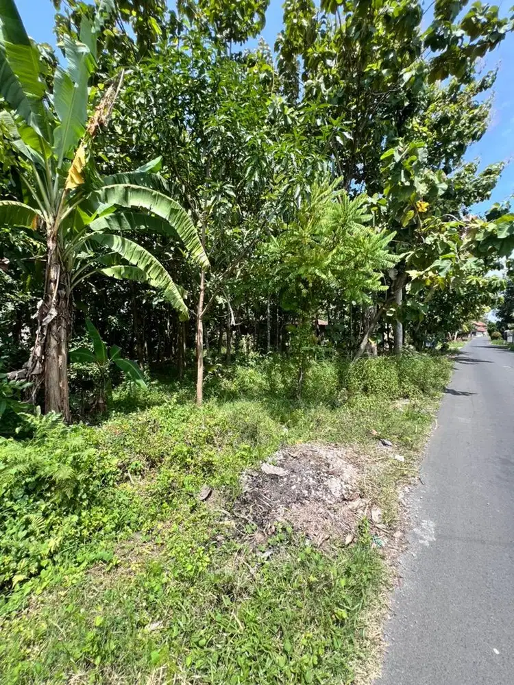 TANAH PEKARANGA DI PUSAT GEMOLONG