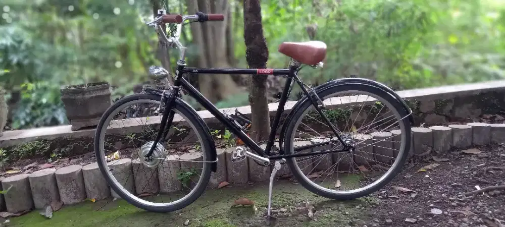 Sepeda Classic Modern Built up ex Taiwan