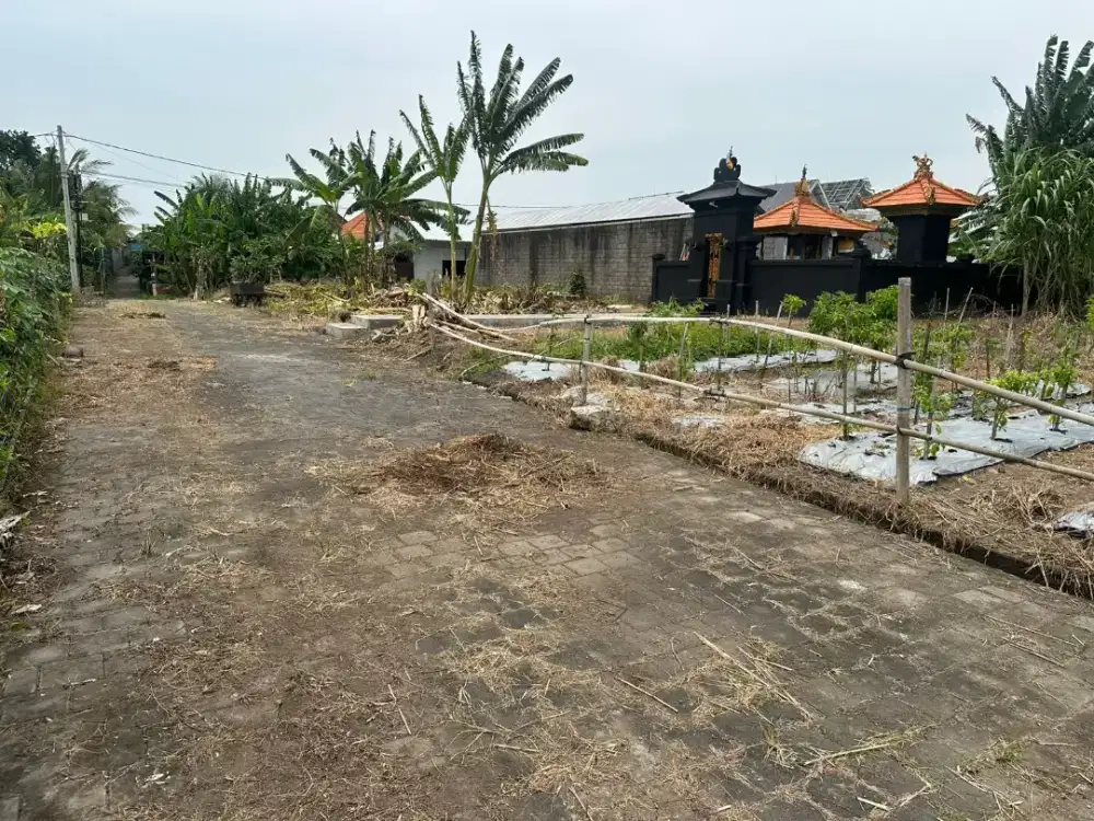 Jual tanah aspek perumahan mulai luas kecil di Kedungu Tabana Bali