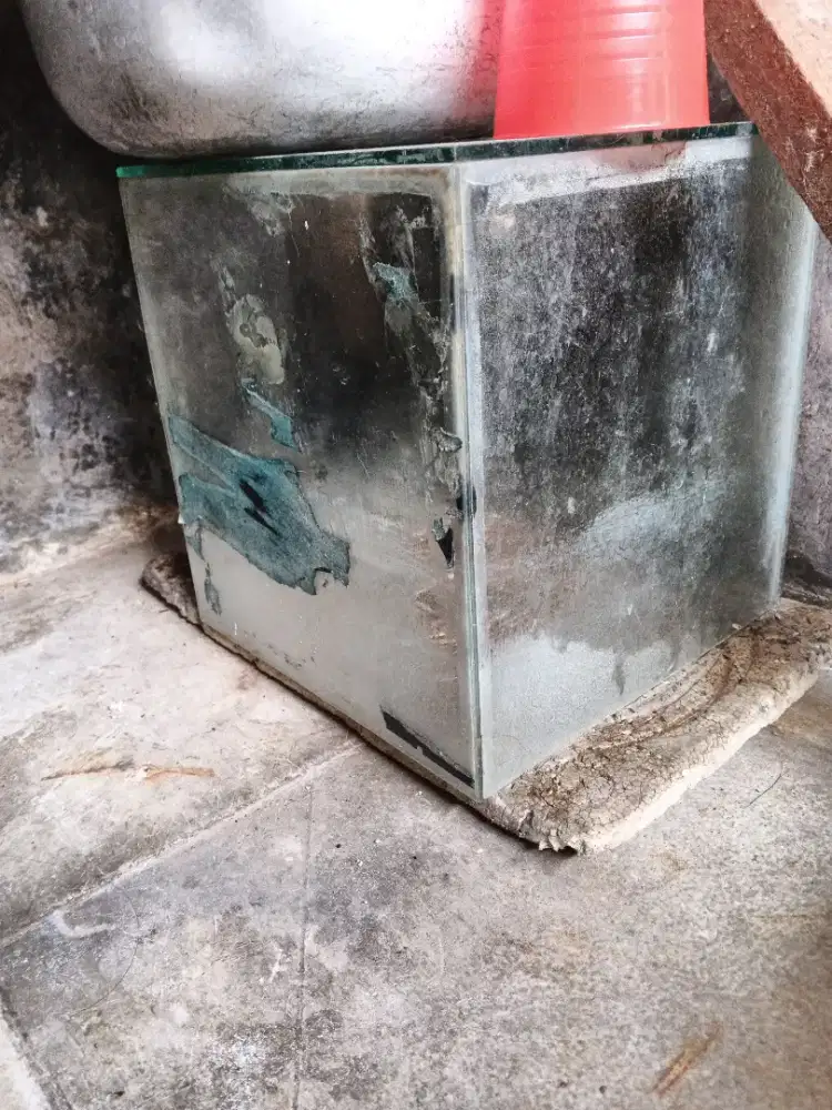 aquarium ikan berbagai ukuran