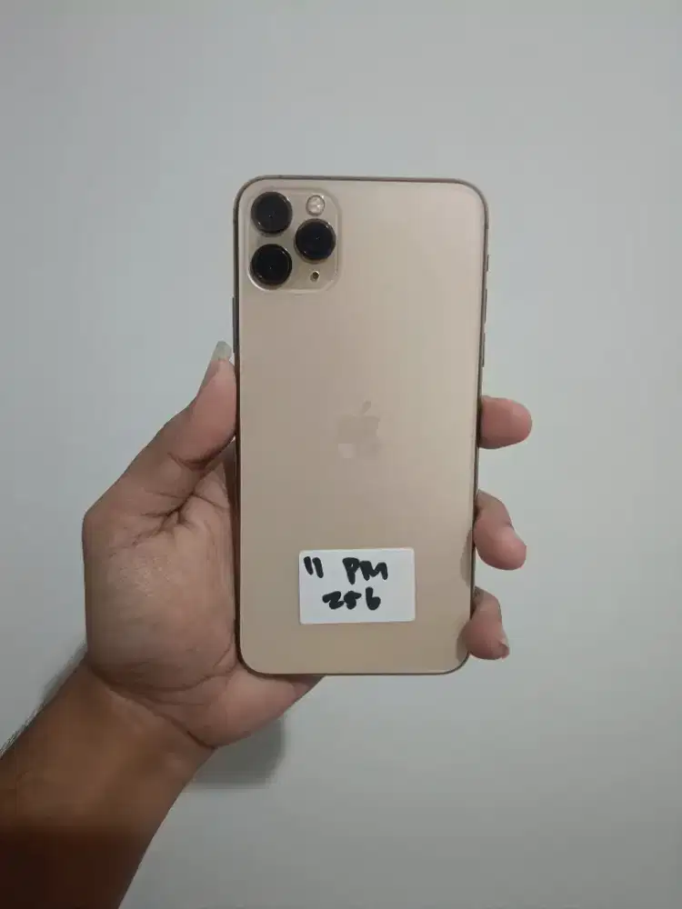iPhone 11 pro max 256Gb kemenprint