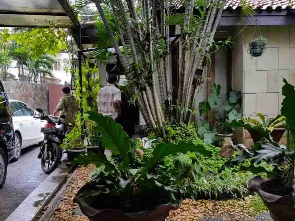 DIJUAL RUMAH DI KEMANG DIBAWAH HARGA NJOP