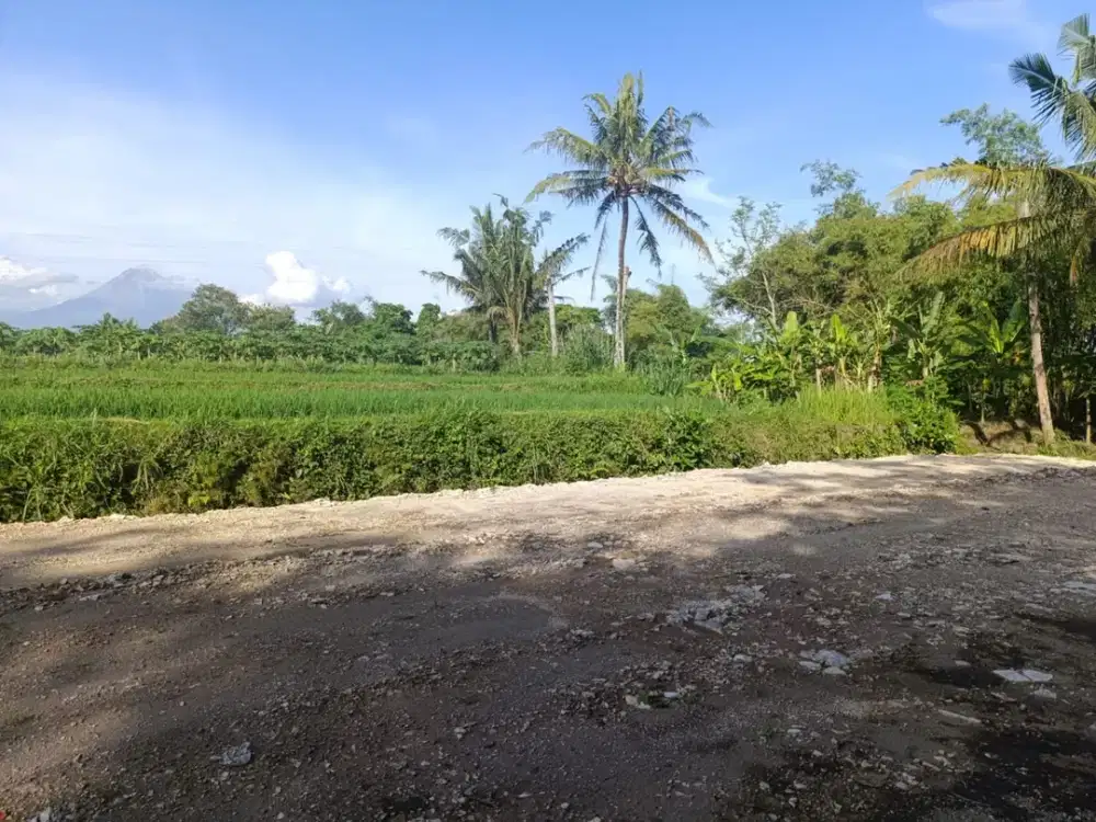 Tanah Sleman Strategis Mangku Jalan Raya Kabupaten