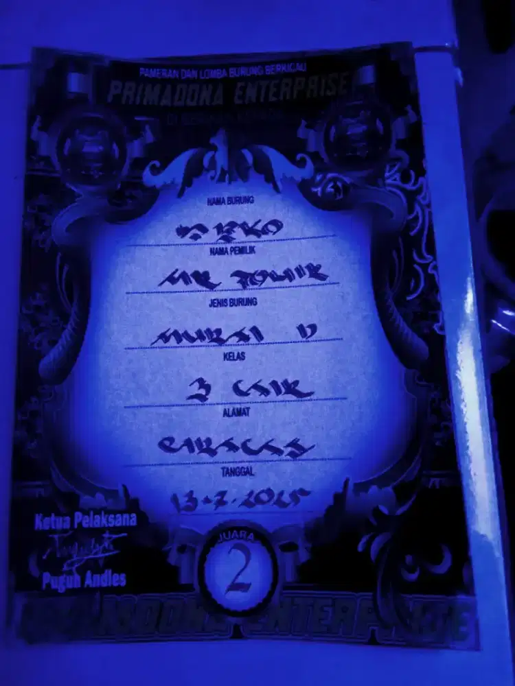 Jual Murai batu blorol