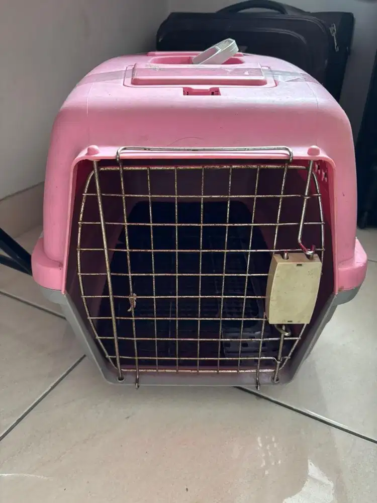 Pet Cargo Large Kucing