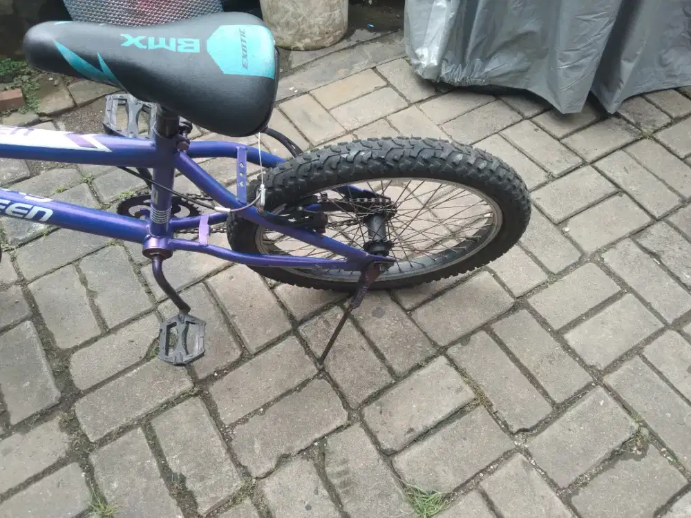 Sepeda BMX 20 inch Evergreen