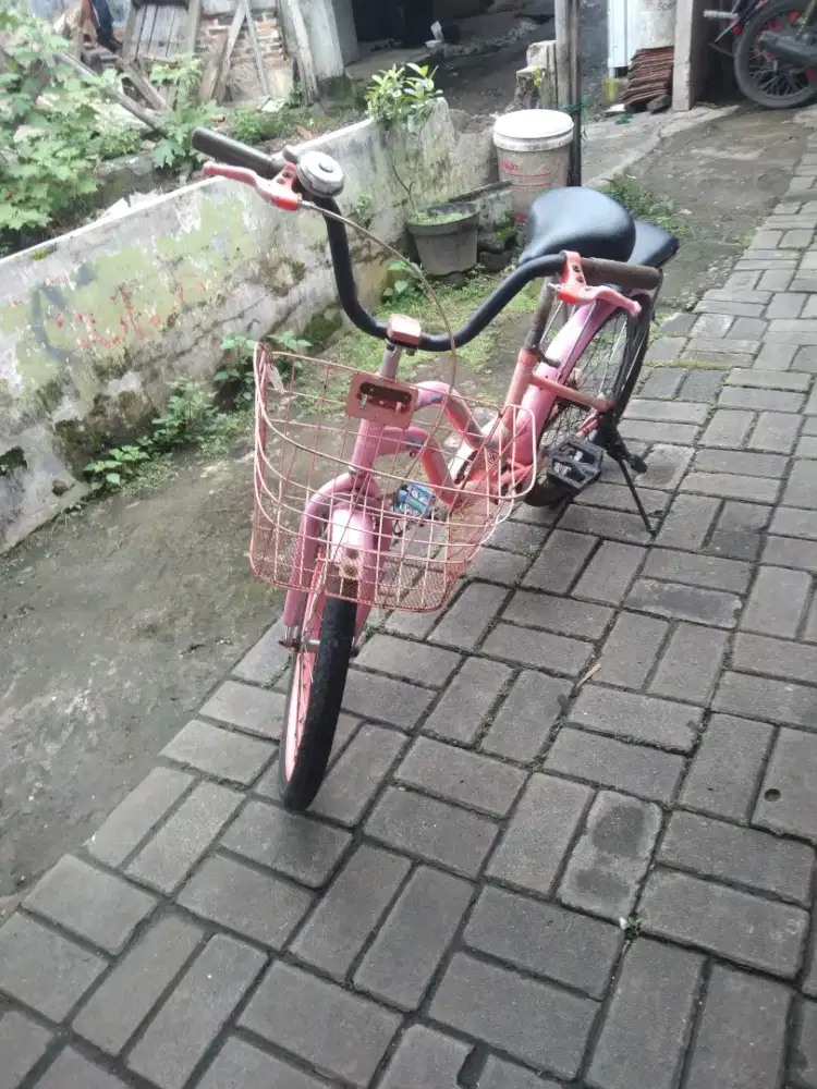 Sepeda keranjang anak wanita 20 inch