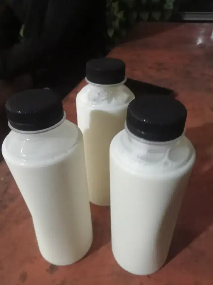 Susu kambing murni segar berprotein