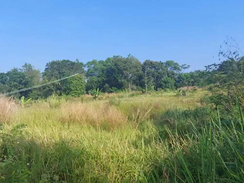 Jual Kavling Hoek jl Raya Mekar Galih/Alternatif Jonggol, Cinangsi, Cianjur Lebar muka 118m