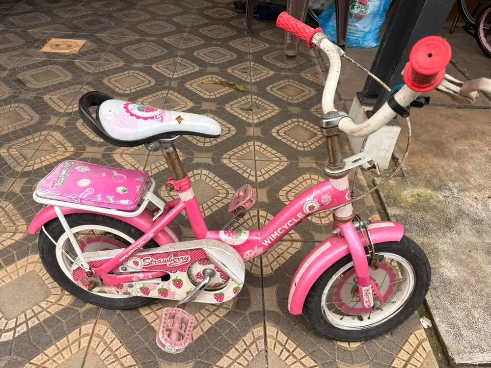 Sepeda anak 12 wimcycle