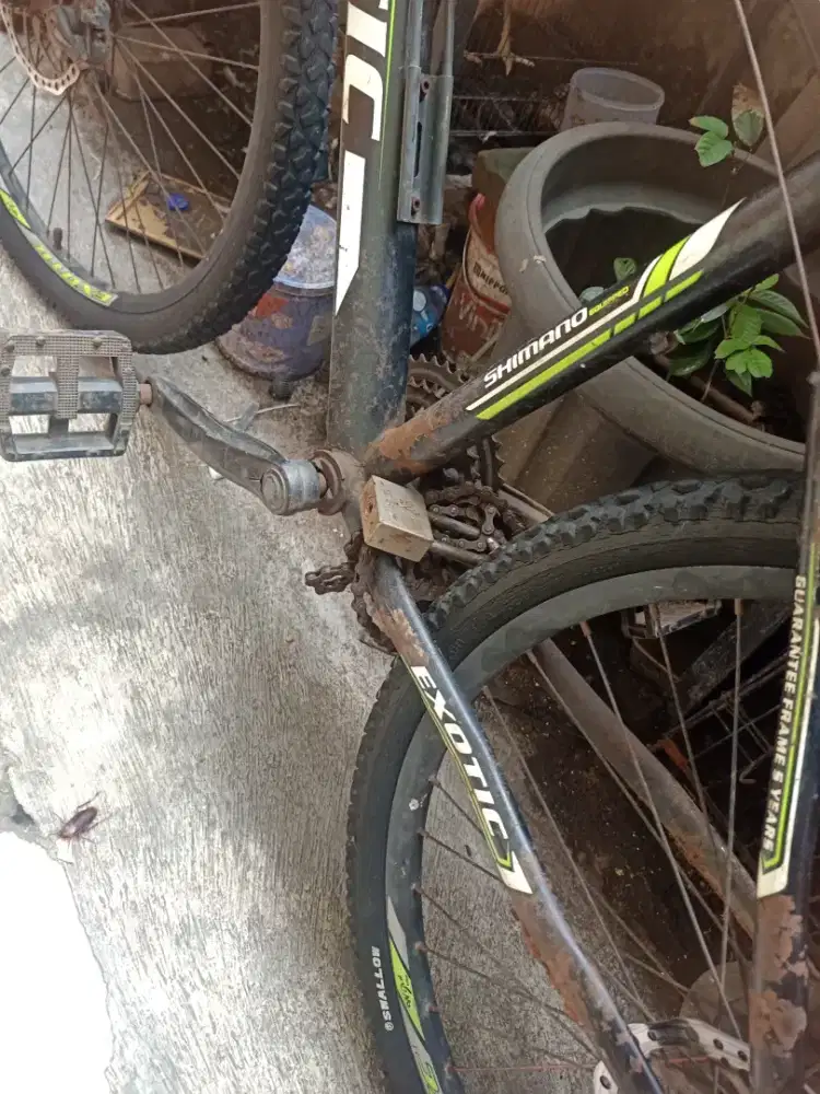 Sepeda gunung exotic