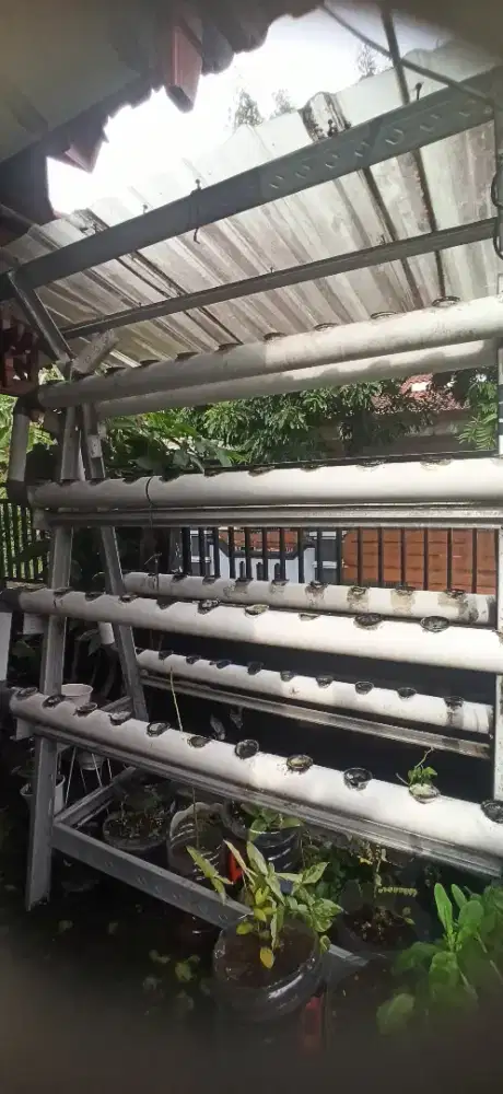 Hidroponik 106 lubang