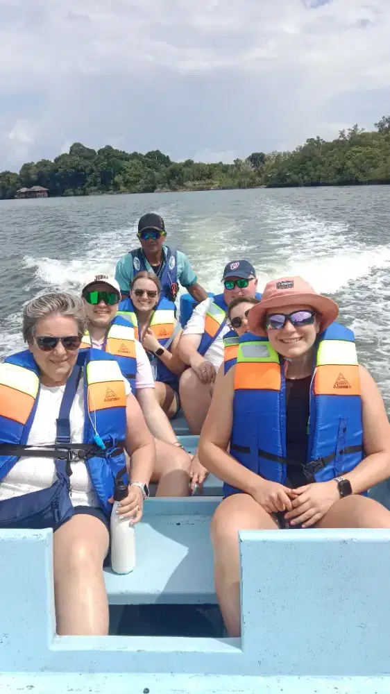 Discoveries bintan manggrove