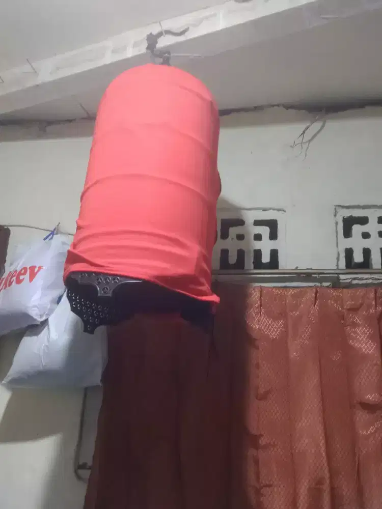 Jual kenari gacor fs warna panda