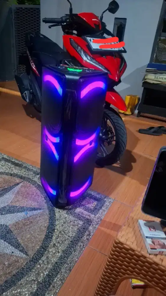 SPEAKER ROOMI TRIANGLE 10