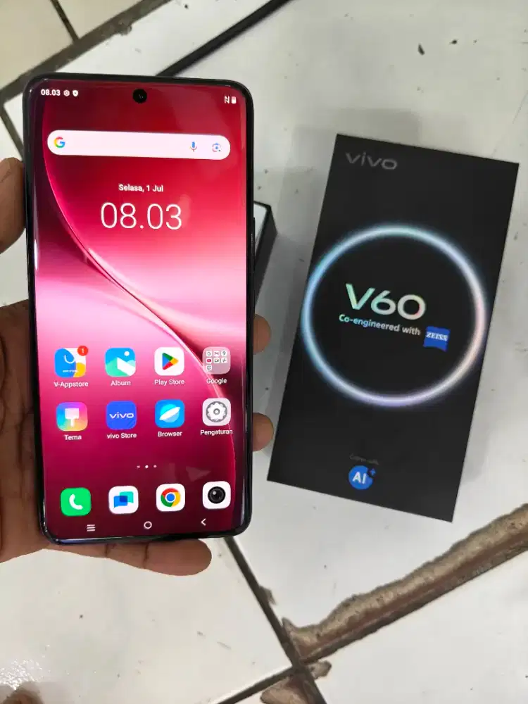 Vivo V60 5G 8/256