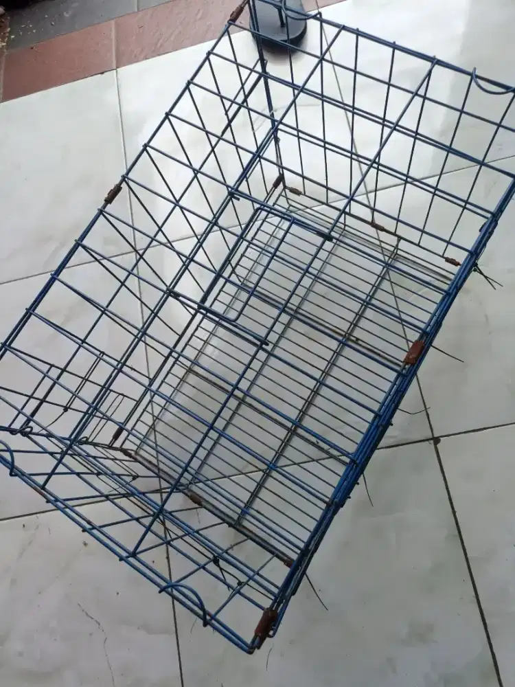 Kandang kucing panjang 50cm