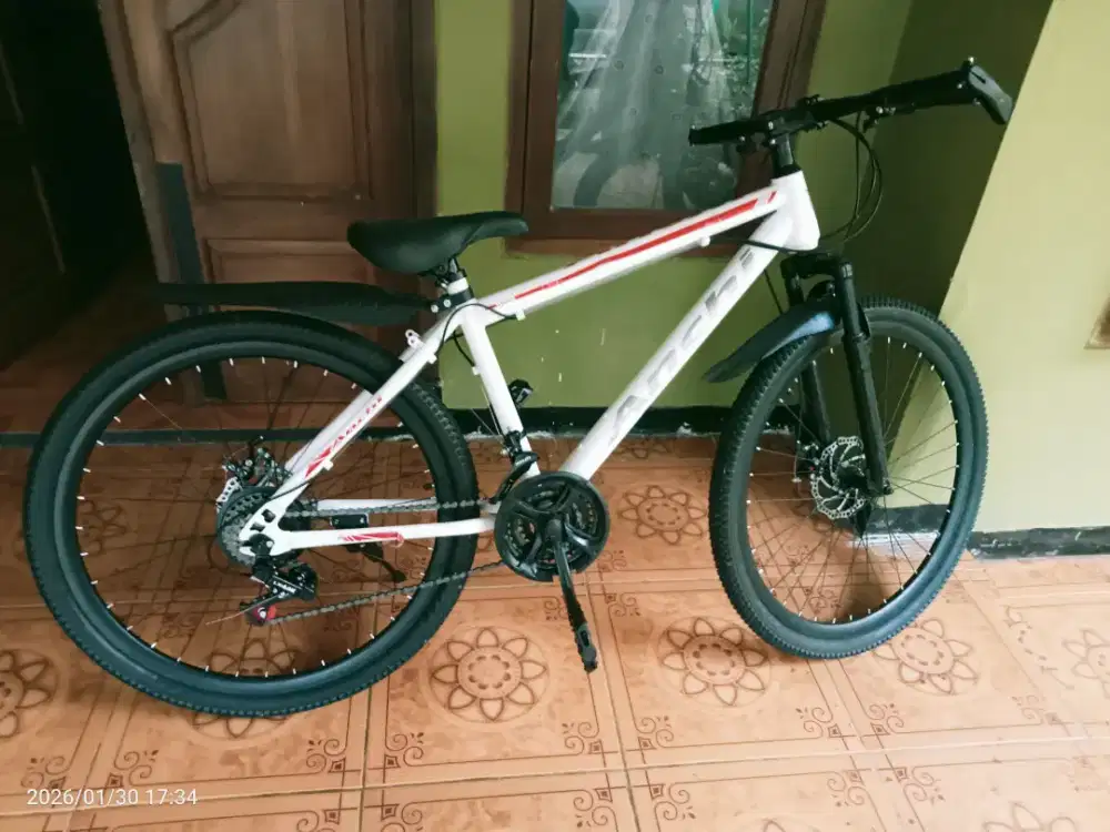 Sepeda gunung polygon