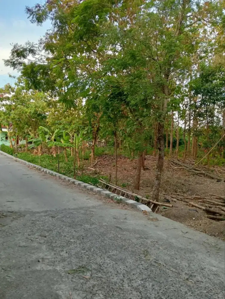 Pekarangan murah sebelah kos Masaran