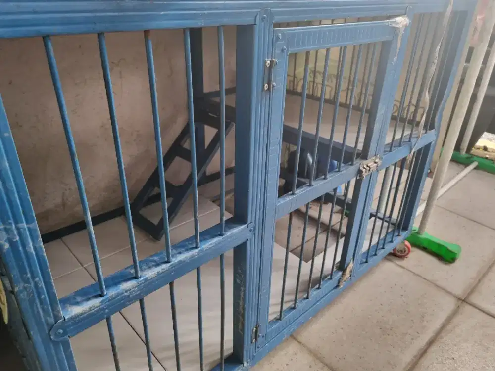 Kandang kucing second