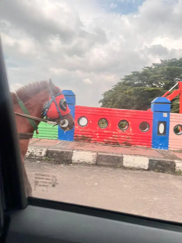 DICARI ART MENGINAP SERIUS