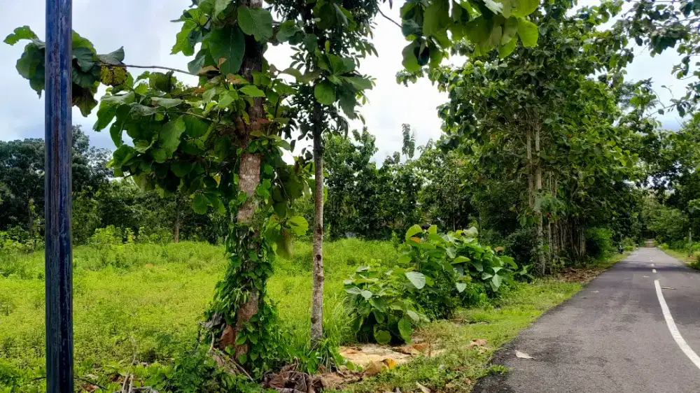 Jual tanah pinggir jln raya Jumapolo luas 1009mtr hrg 350jt nego