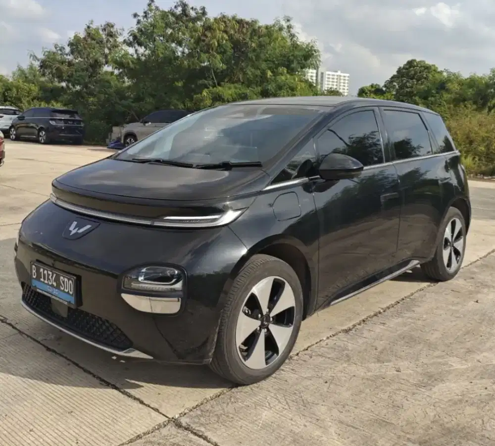 CLOUD Nik 2024 Pemakaian 2025