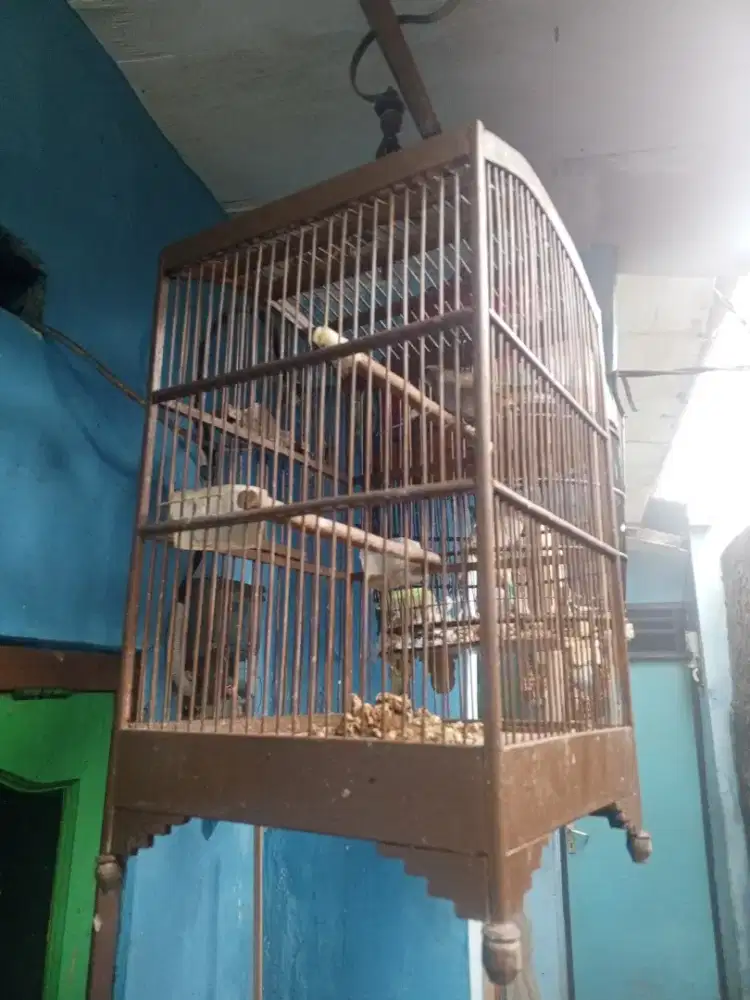 Trucuk sama kandang udah ropel