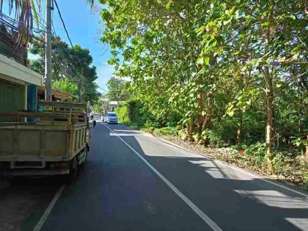 dijual tanah 1 hektar IDR 550 juta per are dekat Savaya pecatu Kuta Selatan Badung Bali