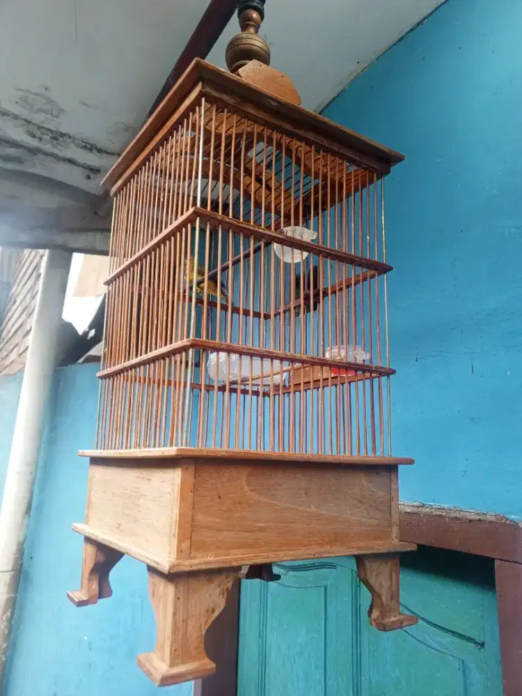 Kandang replika pcmi sama burung kecil
