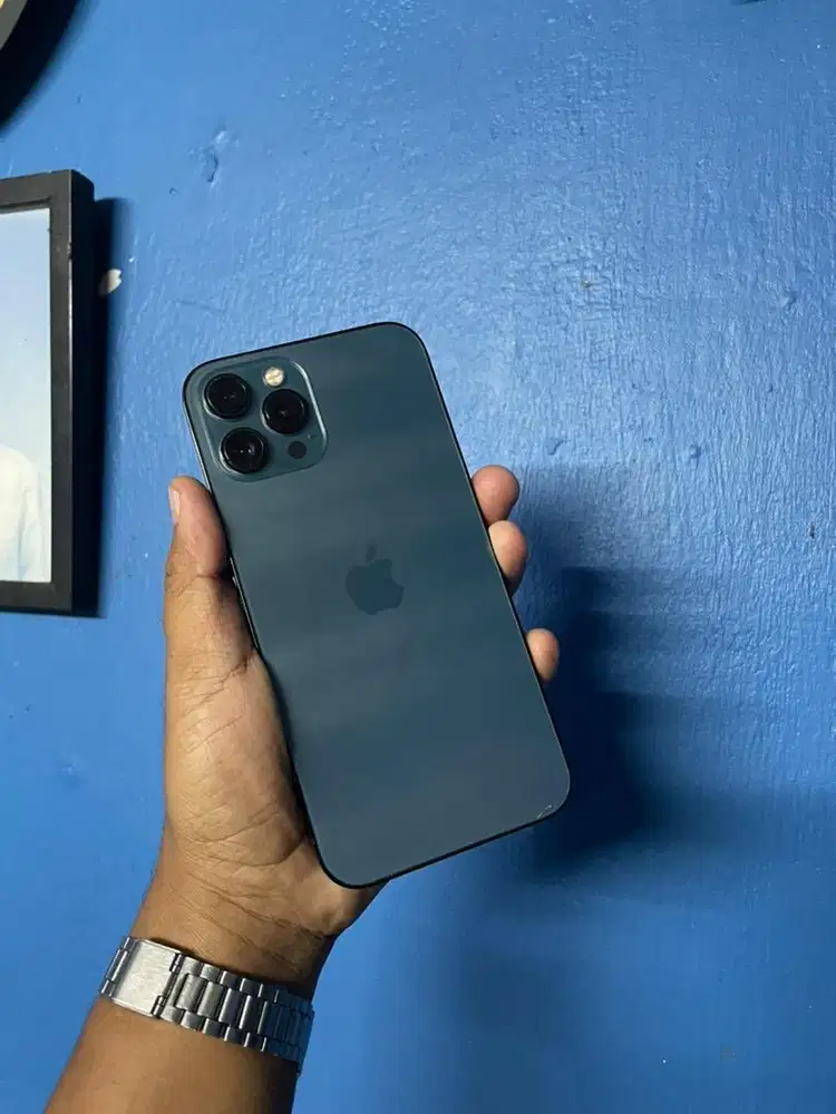 Iphone 12 pro max 256 gb ex beacukai