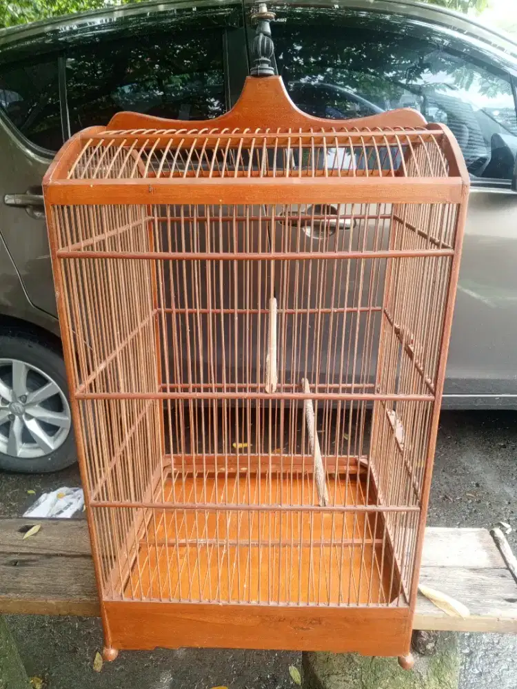 Kandang nomor 1 sangat bagus mulus s