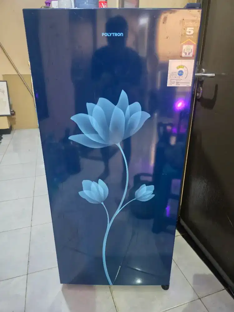 kulkas 1 pintu polytron