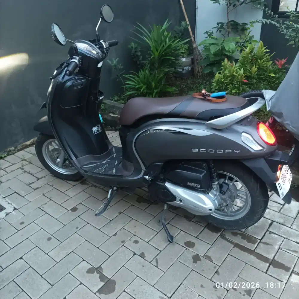 Scoopy stylish 2022
